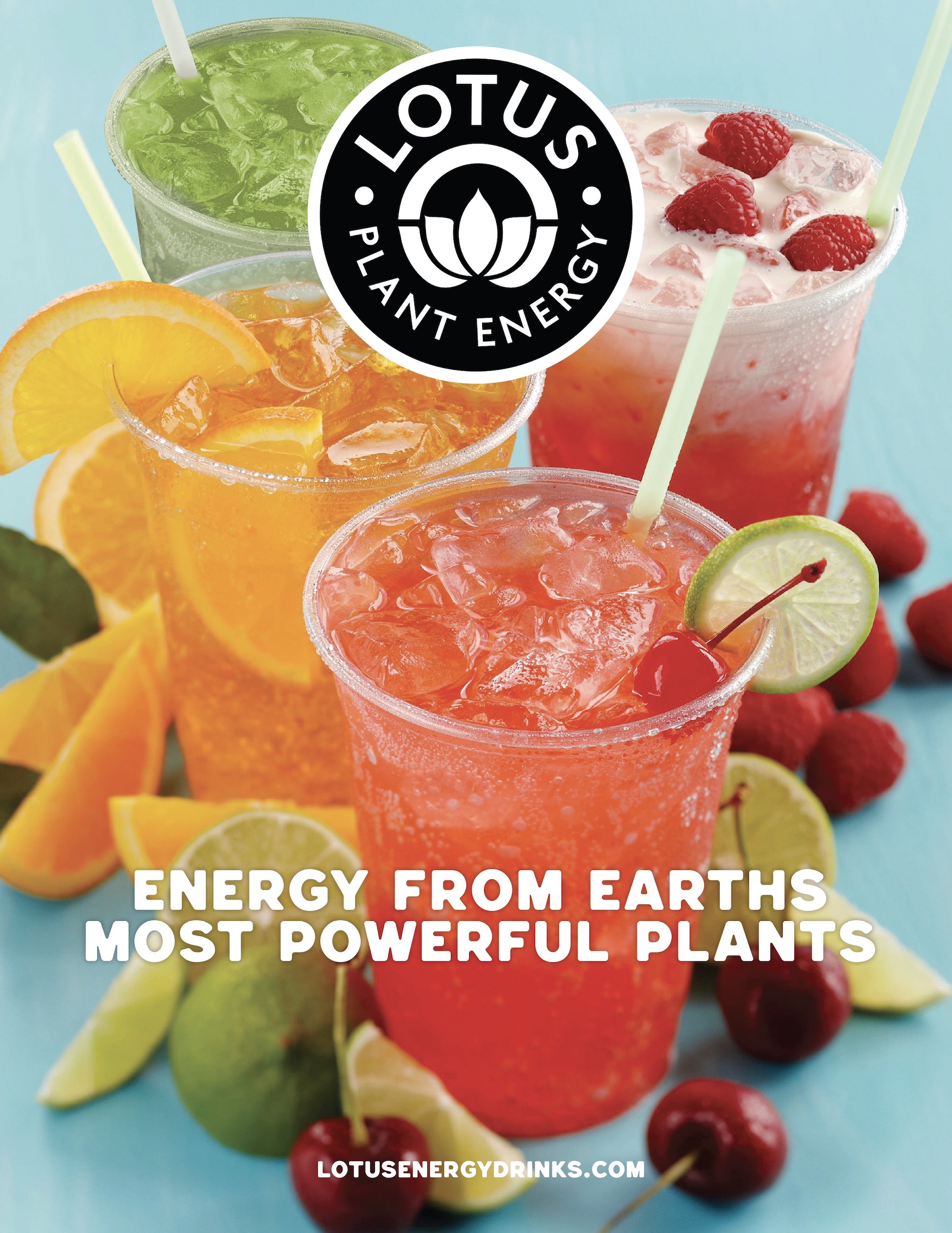 Lotus Plant Energy The Pickle Jar Grinds & Finds