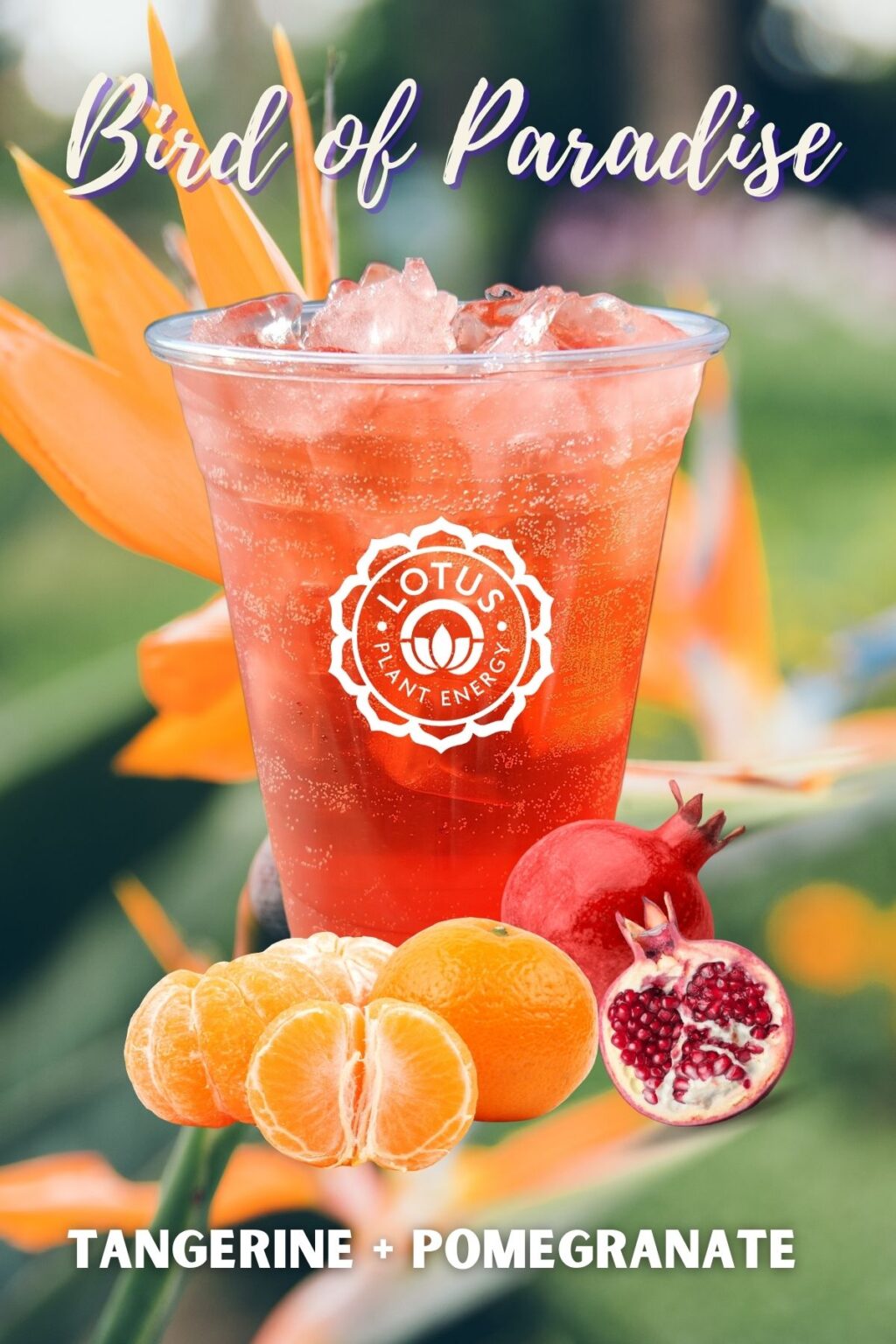 Lotus Menu The Pickle Jar Grinds & Finds