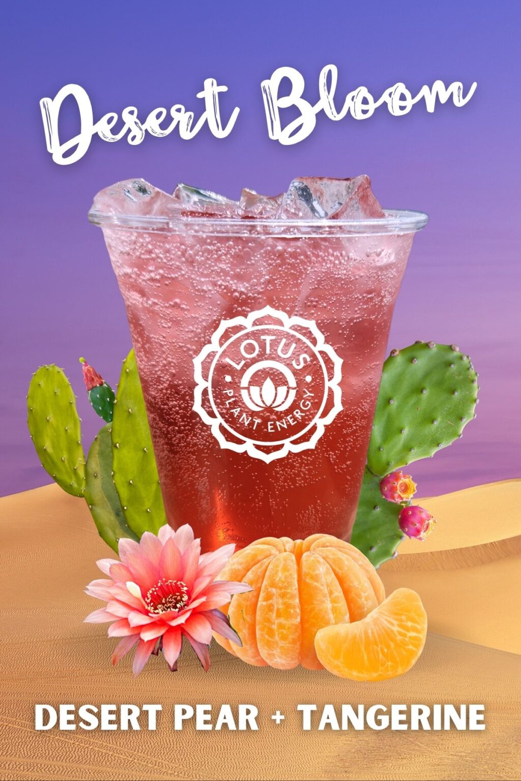 Lotus Menu The Pickle Jar Grinds & Finds